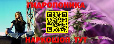 крисы Комсомольск-на-Амуре